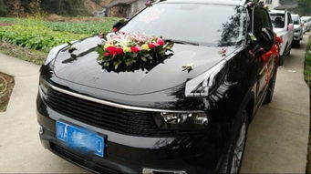 汽车牌照多少克 汽车牌照多少克