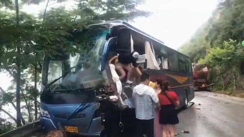 汽车乘客险上多少