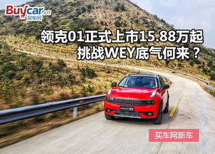 宁克汽车多少万 宁克汽车多少万