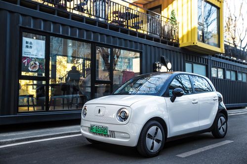 欧拉汽车代码多少 欧拉汽车代码多少