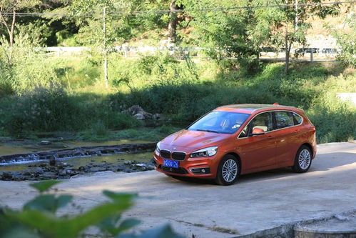 泰森 买了多少辆汽车 泰森 买了多少辆汽车