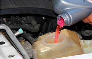 汽车怎么检查水量多少