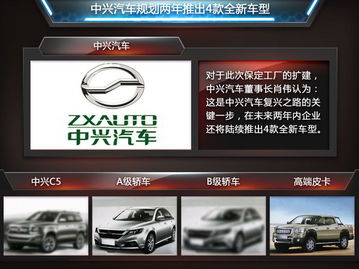 中兴汽车收入多少亿