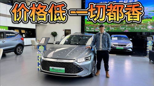 比亚迪汽车越南销售多少