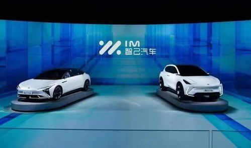 知己汽车预订多少了 知己汽车预订多少了