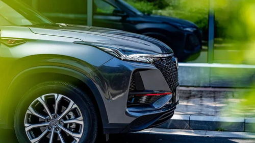 中国现有多少量汽车 中国现有多少量汽车