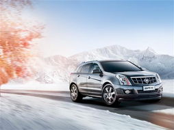 安平汽车修复价格多少