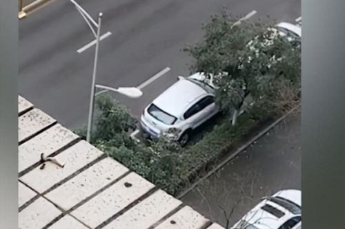 共享汽车隔离费用多少