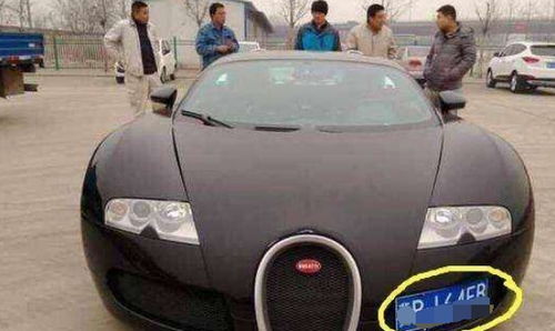 湖北挂牌汽车多少辆