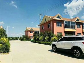 汽车新城首付多少万 汽车新城首付多少万