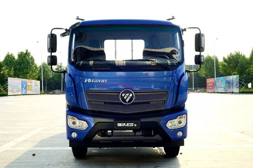 瑞沃汽车自重多少