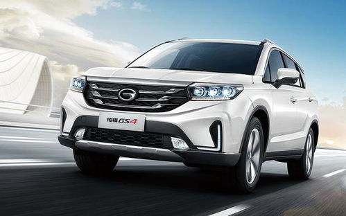 霹道汽车多少万