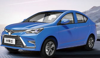 野马汽车电瓶多少伏