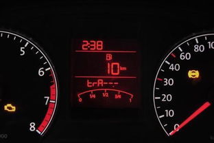 汽车油有多少类型