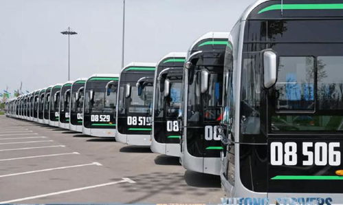 塔什干汽车有多少辆