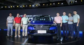 合成营有多少汽车 合成营有多少汽车