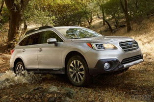 自贡斯巴鲁汽车估价多少 自贡斯巴鲁汽车估价多少