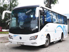 成都汽车托管价格多少