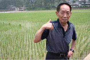 袁隆平有多少辆汽车