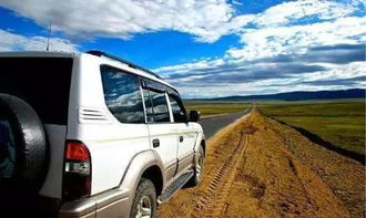 西藏汽车数量有多少