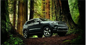 汽车首付多少可以提走