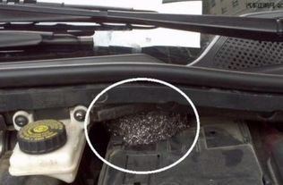 汽车排气压多少正常