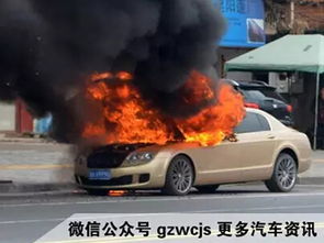 汽车自燃报废赔多少