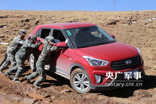 汽车脱险多少个月