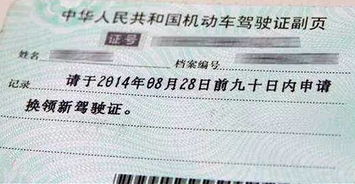 汽车分多少种证