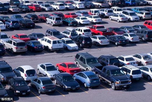 小麦汽车多少钱 小麦汽车多少钱