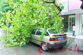 多少辆汽车拦住火车 多少辆汽车拦住火车