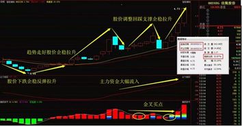 汽车电池企业股价多少