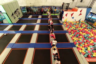 汽车蹦床多少钱 汽车蹦床多少钱