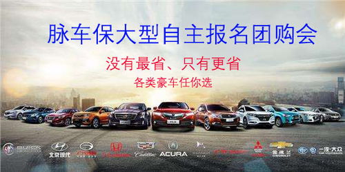汽车团购能多少