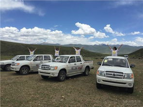 威皮汽车跌倒多少