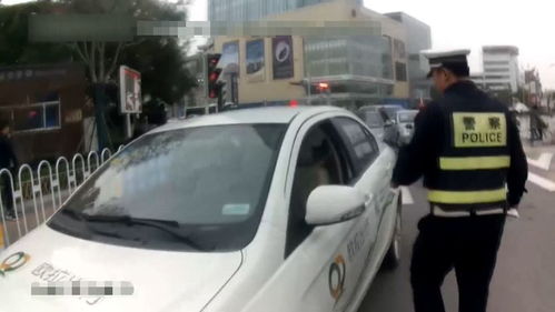 保定汽车多少辆2023