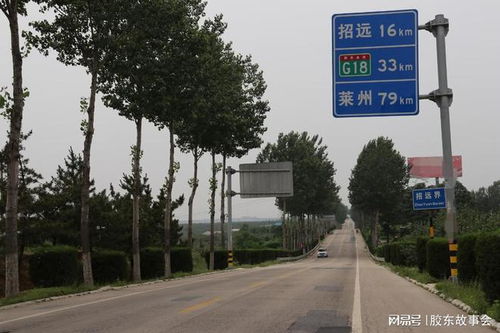 招远汽车报废价格多少