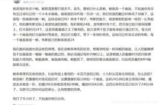 汽车动态视频帧率多少