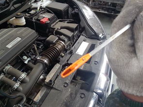 本田汽车机油多少合适