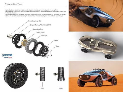 米其林汽车利润多少亿