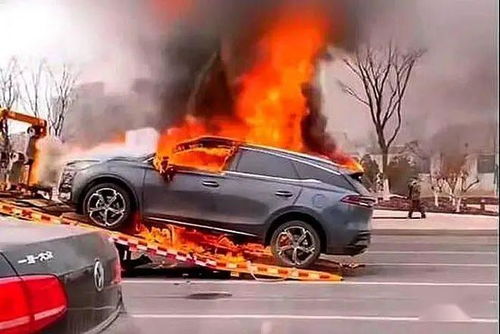 比亚迪汽车自燃多少起