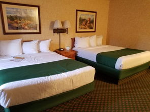 伦敦汽车旅店价格多少