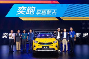 汽车天眼多少钱