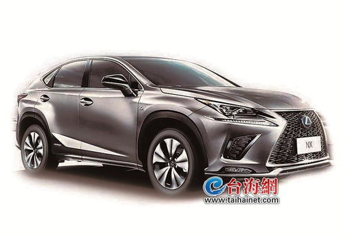 2020厦门有多少汽车