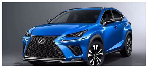 雷克萨斯汽车罚款多少