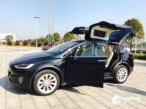 特斯拉汽车多少颗电池