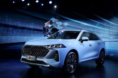 长城汽车股票多少