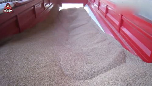 十吨等于多少汽车