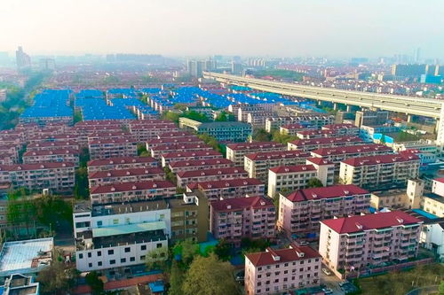 全国有多少汽车渡口