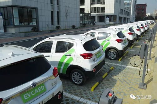 泰安共享汽车点多少